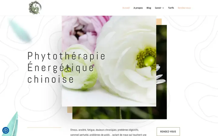 Réalisations de sites internet à Marseille – Phytothérapie Marseille
