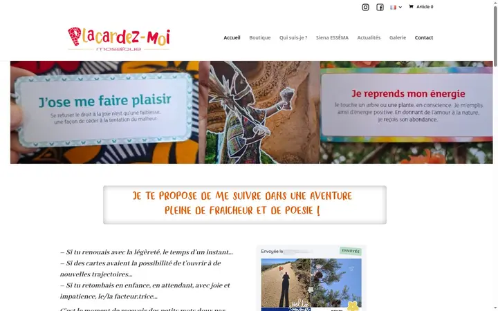 Aperçu du site artistique Placardez-moi